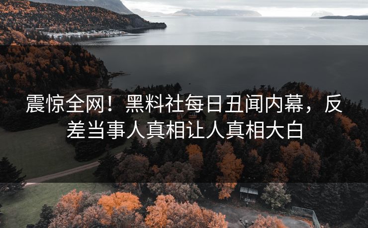 震惊全网！黑料社每日丑闻内幕，反差当事人真相让人真相大白