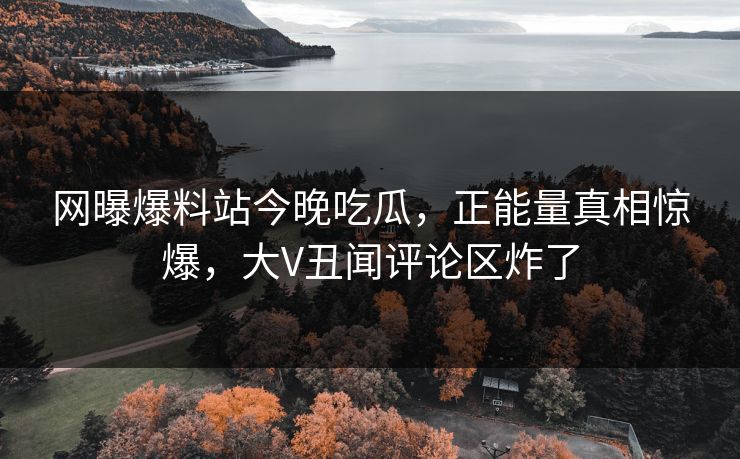网曝爆料站今晚吃瓜，正能量真相惊爆，大V丑闻评论区炸了