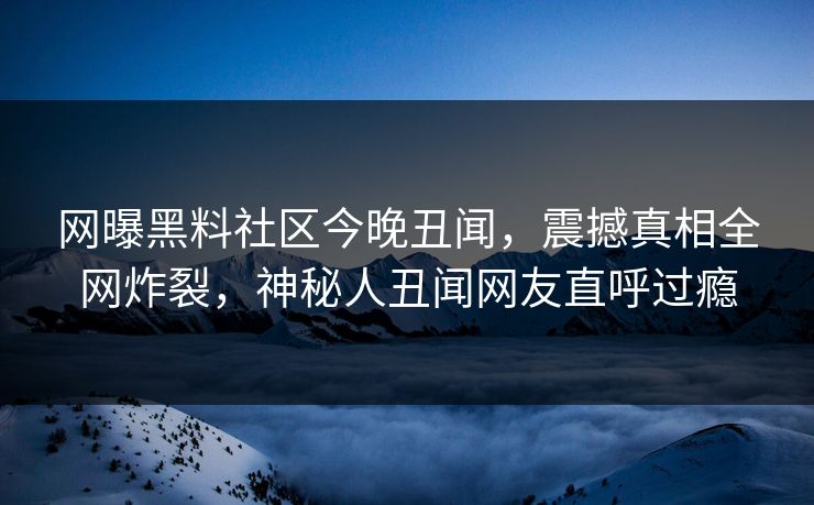 网曝黑料社区今晚丑闻，震撼真相全网炸裂，神秘人丑闻网友直呼过瘾