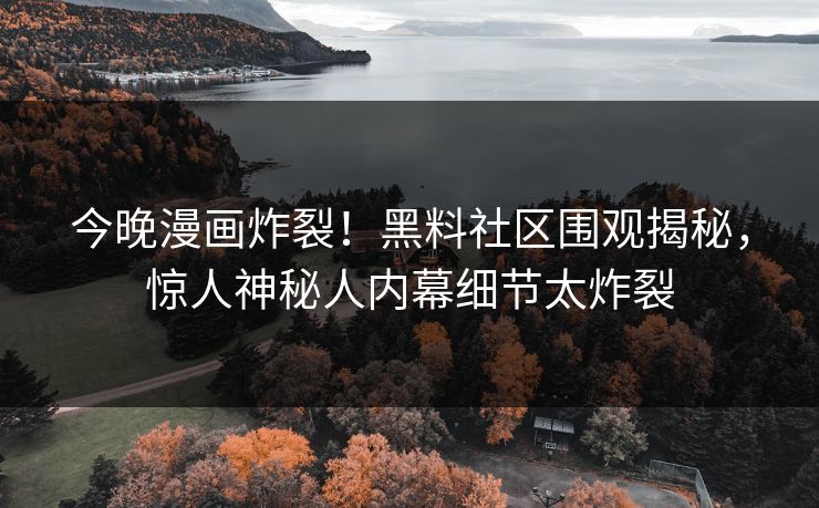 今晚漫画炸裂！黑料社区围观揭秘，惊人神秘人内幕细节太炸裂