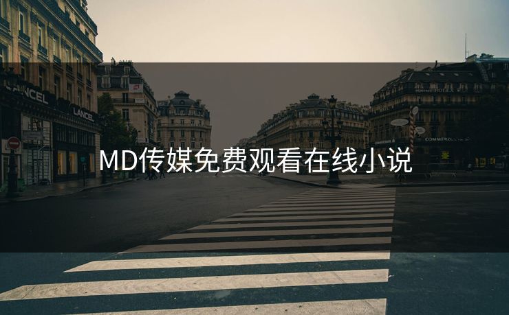 MD传媒免费观看在线小说