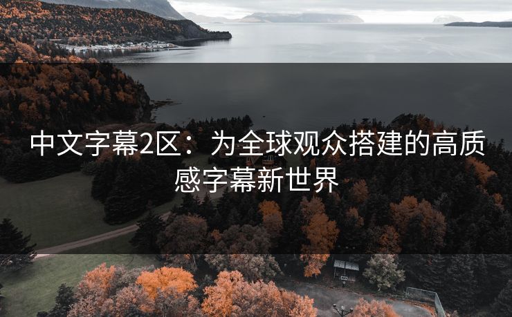 中文字幕2区：为全球观众搭建的高质感字幕新世界