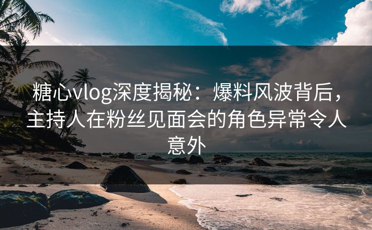 糖心vlog深度揭秘：爆料风波背后，主持人在粉丝见面会的角色异常令人意外